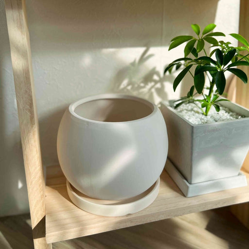 トレイ付き シンプル 植木鉢 - FuuHome